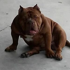 Meet your Posher, Cameron